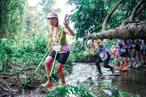 BIB: 
                            <button type="button" onclick="openModal(25456329)" class="btn btn-primary btn-sm float-right btn-popup" data-toggle="modal" data-target=".modal-high-quality">
                        <i class="fas fa-shopping-cart"></i> Add to Cart
                    </button>
                                            <button type="button" onclick="isThisMe(25456329, true)" class="btn btn-success btn-sm float-right btn-popup btn-isme hidden" data-toggle="tooltip" data-placement="bottom" title="นี่คือรูปของคุณใช่ไหม คลิกที่นี่เพื่อเอาเข้าอัลบั้ม">
                        <i class="fas fa-plus"></i> Add to album
                    </button>
                    <button type="button" onclick="isThisMe(25456329, false)" class="btn btn-warning btn-sm float-right btn-popup btn-isnotme hidden">
                        <i class="fas fa-ban"></i> Remove from album
                    </button>